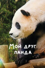 Онлайн Мой друг панда